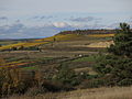 Category:Naturschutzgebiet Grainberg-Kalbenstein und Saupurzel ...