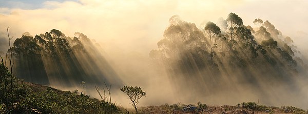 Back-scattering crepuscular rays panorama 1.jpg