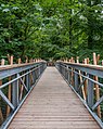* Nomination Canopy walkway at the gardening exhibition "Landesgartenschau 2018" in Bad Iburg. Osnabrück Land, Lower Saxony, Germany --Basotxerri 18:03, 12 June 2018 (UTC) * Promotion Good quality --Michielverbeek 20:43, 12 June 2018 (UTC)