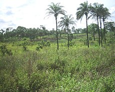 Kongói Demokratikus Köztársaság – Wikipédia