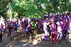 Batalla del Vino de Haro