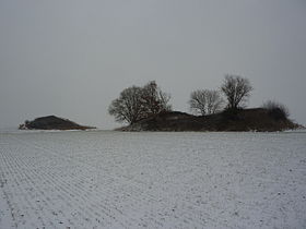 Illustrasjonsbilde av artikkelen Tumuli de Seron