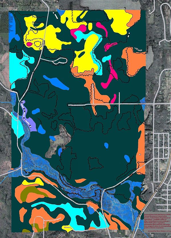 Soils of Bellwin Foundation area