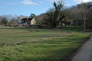 Bengrove Human settlement in England