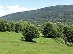 Mountain meadows and pastures.jpg