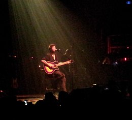 Bertrand Cantat avec Detroit en 2014 1 (cropped).jpg