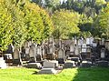 Israelitischer Friedhof