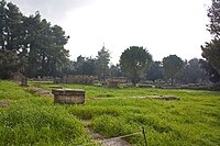 Bouleuterion in Olympia 2010 2.jpg