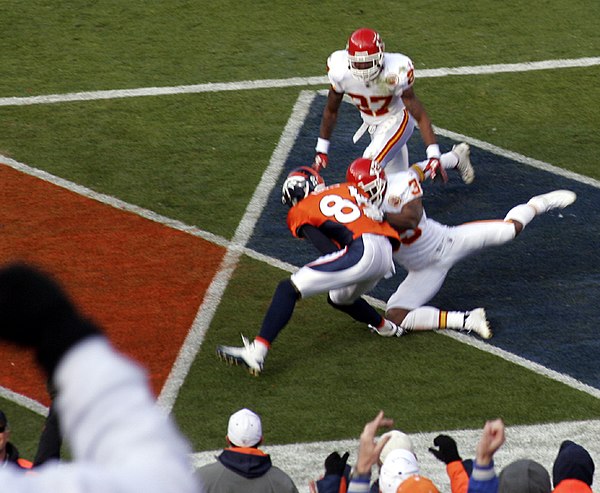 Lloyd catching a pass for a touchdown against the Kansas City Chiefs on November 14, 2010.