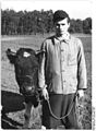 Bundesarchiv Bild 183-12325-0001, Schmorkau, Bauer mit einem Rind.jpg