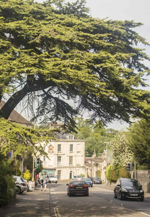 View of Bath Street, Frome