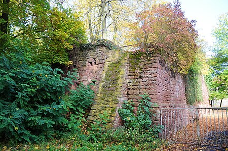 Burg Stauf