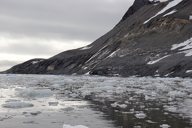 File:Burgerbukta Glacier, Svalbard, Arctic (20282449305).jpg