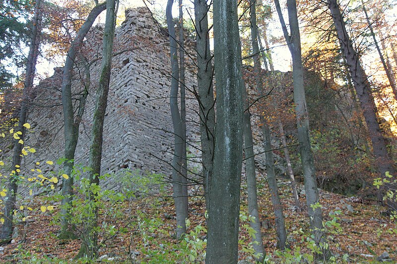 File:Burgruine Helfenberg NM 036.jpg