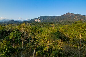 Buxa Tiger Reserve forest 2014.jpg