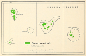 CL-24b Pinus canariensis range map.png