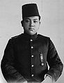 Syarif Kasim II, Sultan Siak Sri Indrapura ke-12