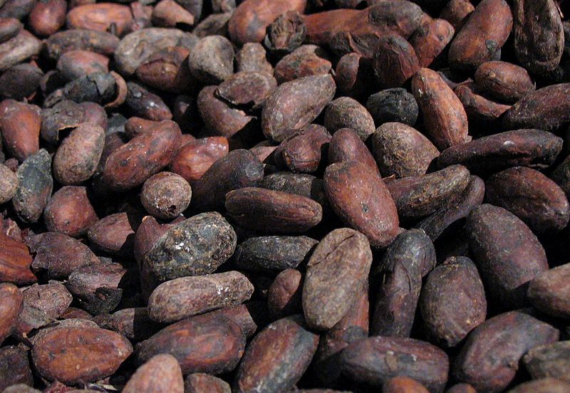 File:Cacao-roasted.jpg