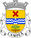 Vlag van Campeã