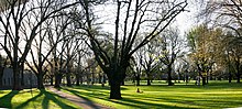 Carlton Gardens Carlton gardens panorama.jpg