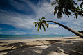 * Nomination: Carneiros Beach, Pernambuco - Brazil --Alfredo Borba 19:50, 13 August 2014 (UTC) * Review Too much vignetting. And please raise the shadows. --Cccefalon 04:22, 14 August 2014 (UTC)