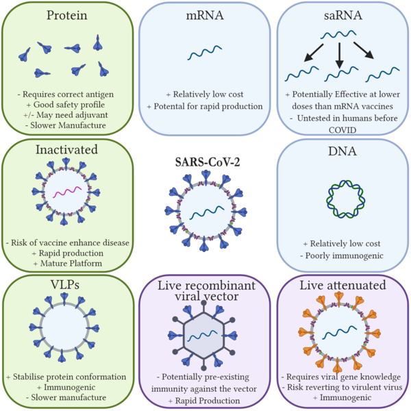 File:Cei13517-fig-0002-m.webp