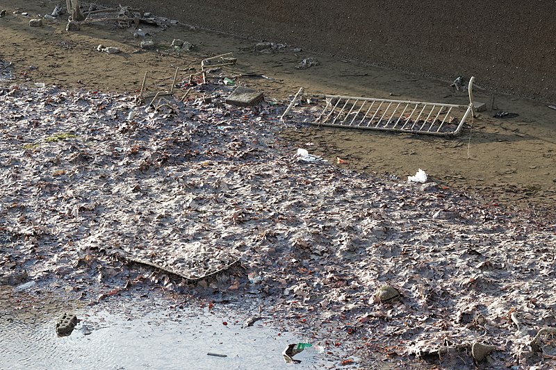 File:Chômage du canal Saint-Martin 2016-01-06 04.jpg