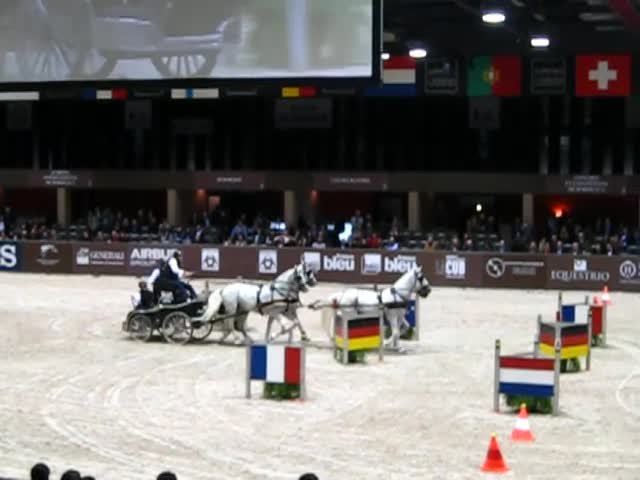 File:Chardon Ijsbrand, Bordeaux World Cup Driving Final 2014 (Round 1).webm