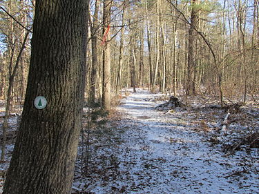 Charles River Link Trail Charles River Link Trail, Chase Woodlands, Dover MA.jpg