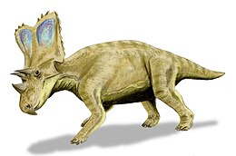 A Chasmosaurus rekonstrukciója