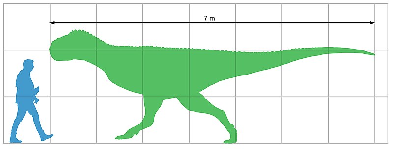 File:Chenanisaurus size.jpg