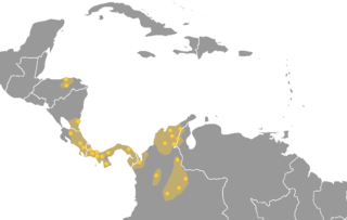 <span class="mw-page-title-main">Intermediate Area</span> Archeological geographical area of the Americas