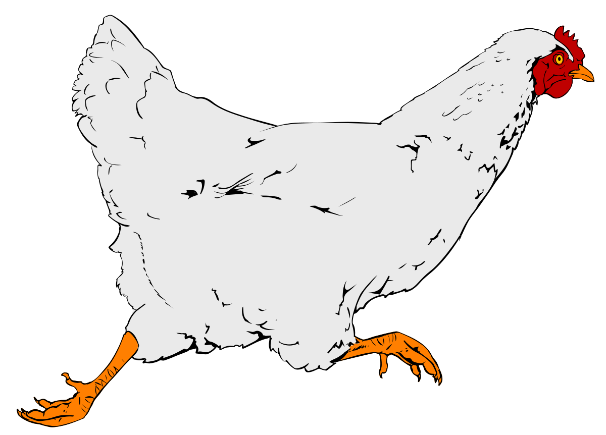 pollo - Wikcionario, el diccionario libre