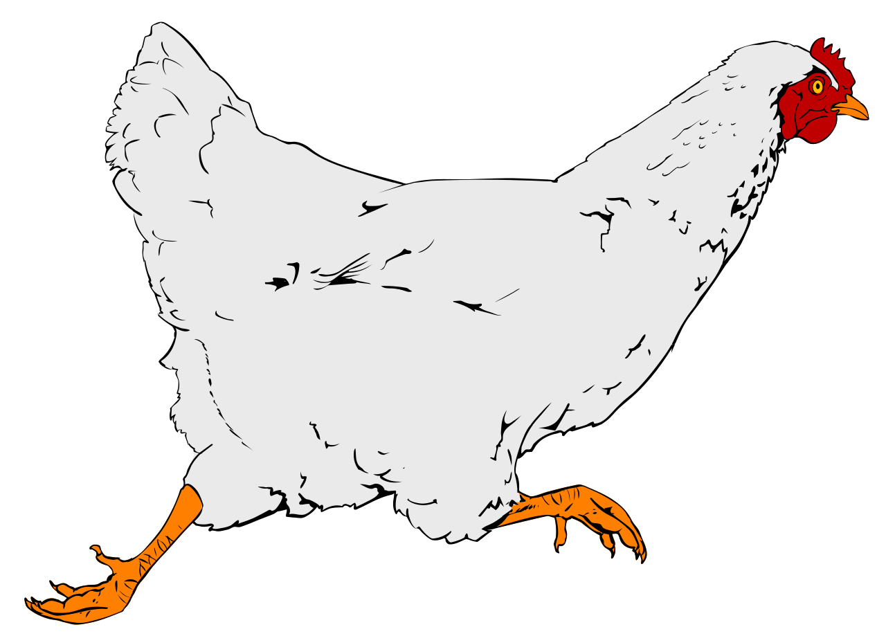 chicken clip art