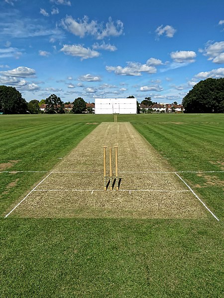 File:Church Times Cricket Cup final 2019, Wicket 3.jpg