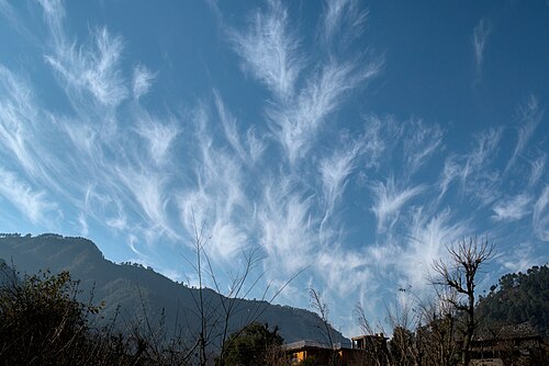 Des cirrus uncinus dans le ciel de Mandi, dans l'État indien de l'Himachal Pradesh. (définition réelle 5 278 × 3 524)