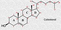 Colesterol