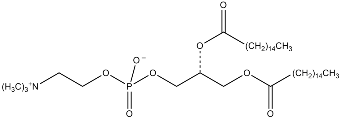 Colfosceril palmitate