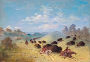 Comanche auf Büffeljagd. Zeichnung von George Catlin (1844)