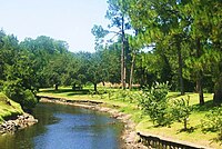 Contraband Bayou as it runs west of the McNeese State University campus. Contraband Bayou2.jpg