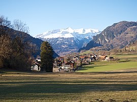 נוף מחצלות שטויות מ Furstenau 2014.jpg