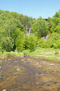 Tranĉita River.jpg