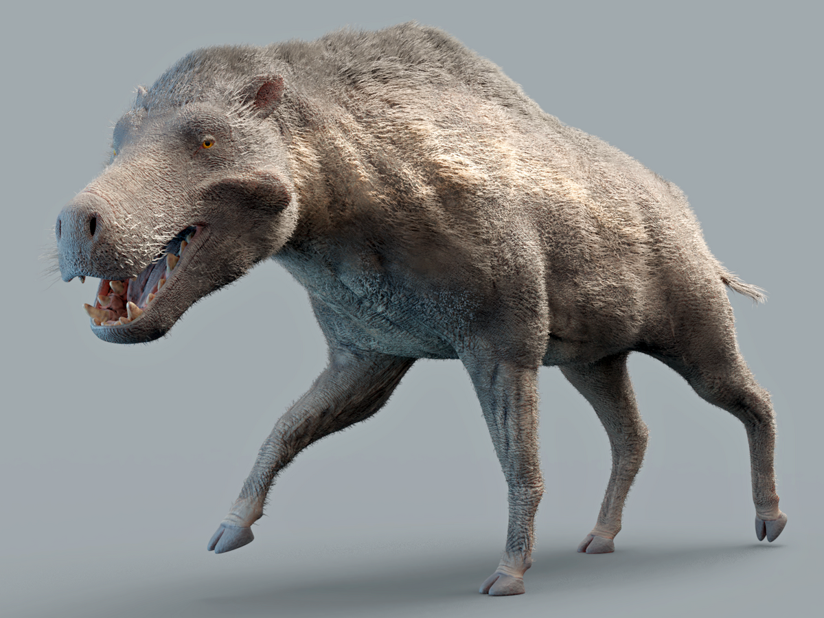 1200px-Daeodon_shoshonensis_2.png