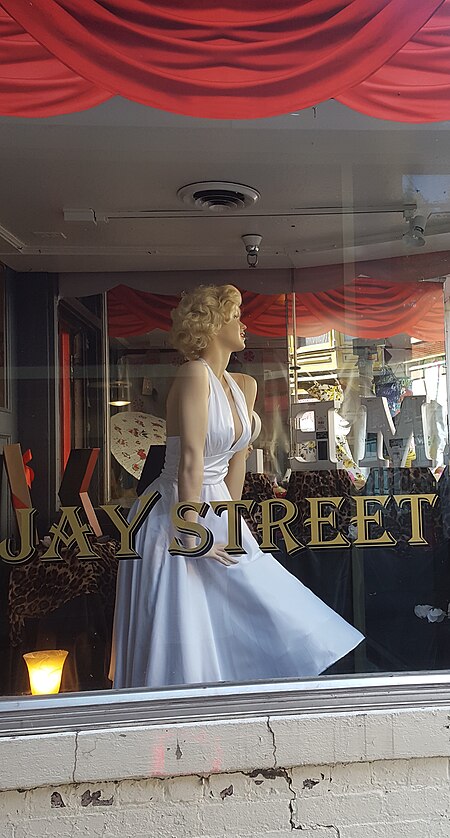 ไฟล์:Dames hip clothing on Jay St, Schenectady New York (37260778220).jpg