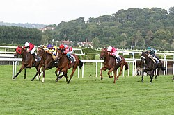 Hippodrome de Deauville-Clairefontaine