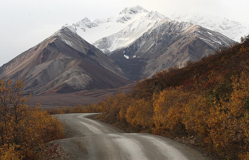File:Denali road and snow covered mountains.jpg