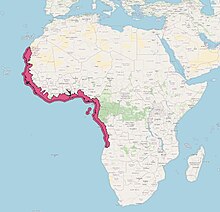 Carte montrant la distribution d'E. fimbriata d'après l'UICN (avril 2024)