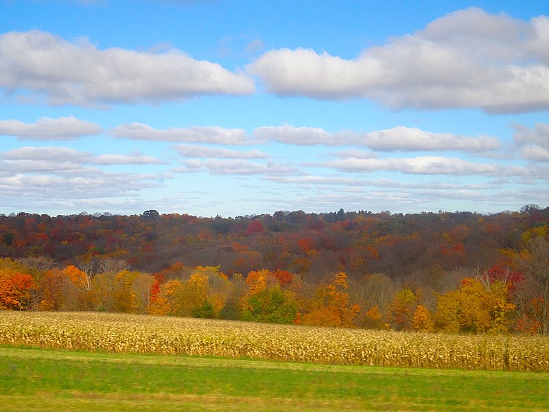 File:Driftless Area - panoramio (39).jpg