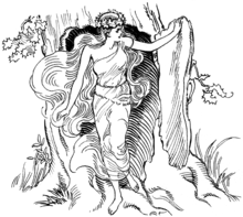 От др.-греч. Δρυς — «дуб» произошло имя нимф Дриад — покровительниц деревьев в греческой мифологии[10].
