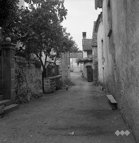 File:Dutovlje, vaška ulica 1969.jpg